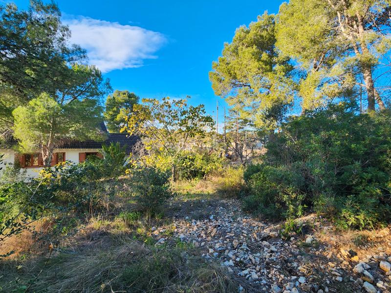 Foto 395a3b5a-74c3-44de-b3b2-2b180b50d206. Terreny residencial a Vallirana