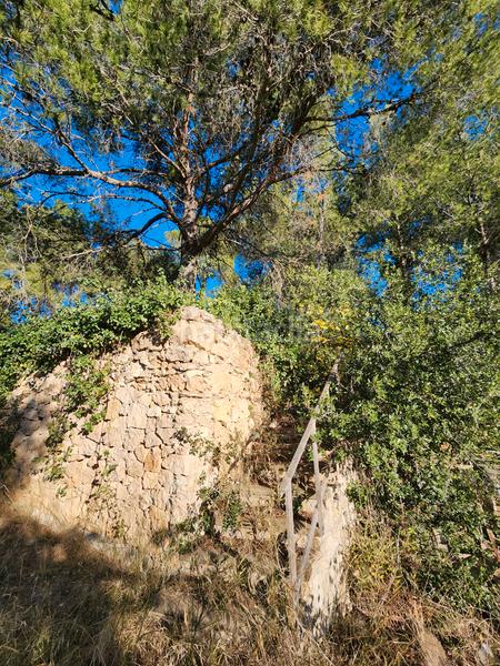 Foto b5fd019c-7299-4034-abfa-e5ba05b736c9. Terreny residencial a Vallirana