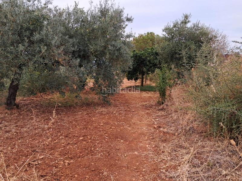 Foto 15a6d644-0600-4b46-b876-8664c7d2081c. Chalet  venta pedanías, córdoba en Almodóvar del Río