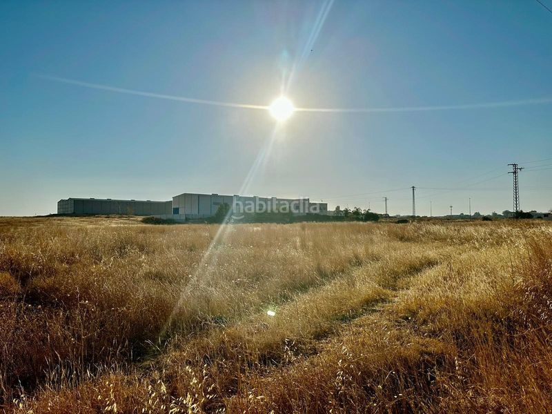 Foto 0988a31e-e1e0-42a5-8b7f-ff01da44b3fe. Solar industrial e. venta de terreno industrial en la carlota oportunidad única en Carlota (La)