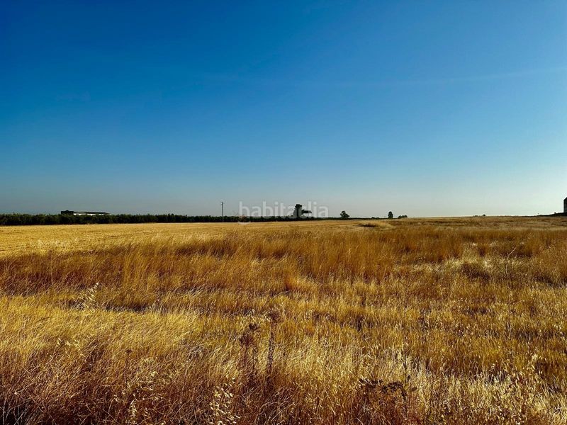 Foto 9da469a4-8660-40a8-9edc-6d9149a38799. Solar industrial e. venta de terreno industrial en la carlota oportunidad única en Carlota (La)
