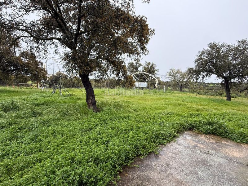 Foto b52127d8-297f-44e1-b862-e25de7276432. Finca rústica a polígono polígono 20 paraje 160 dehesa de alfilejo 25 a Alcaracejos