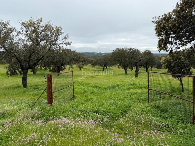 Foto be6f4241-59fa-4561-abc0-5d697ae5a929. Finca rústica a polígono polígono 20 paraje 160 dehesa de alfilejo 25 a Alcaracejos