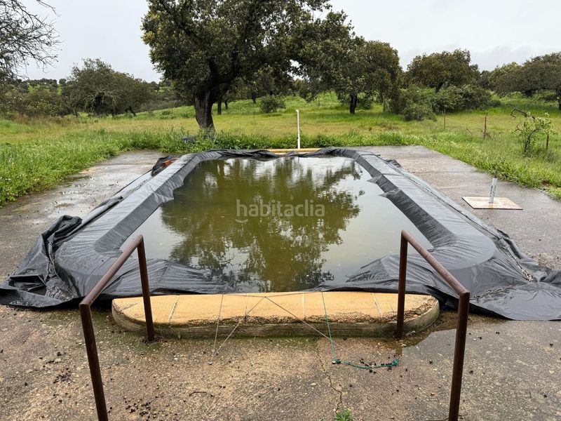 Foto fe4dcaef-5ff3-497e-bea9-cf1116c66404. Finca rústica a polígono polígono 20 paraje 160 dehesa de alfilejo 25 a Alcaracejos