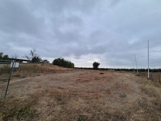 Fondo rustico in Carpio (El). Magnifico terrero rural, frente a la base logistica militar!!!!