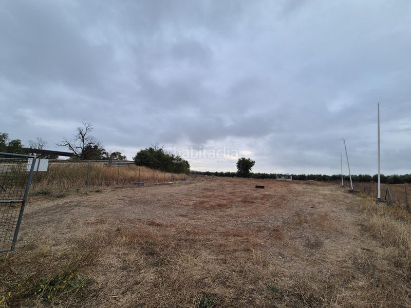 Foto 66c12a61-f1f9-449c-899d-53684eb358f6. Finca rústica a Carpio (El)