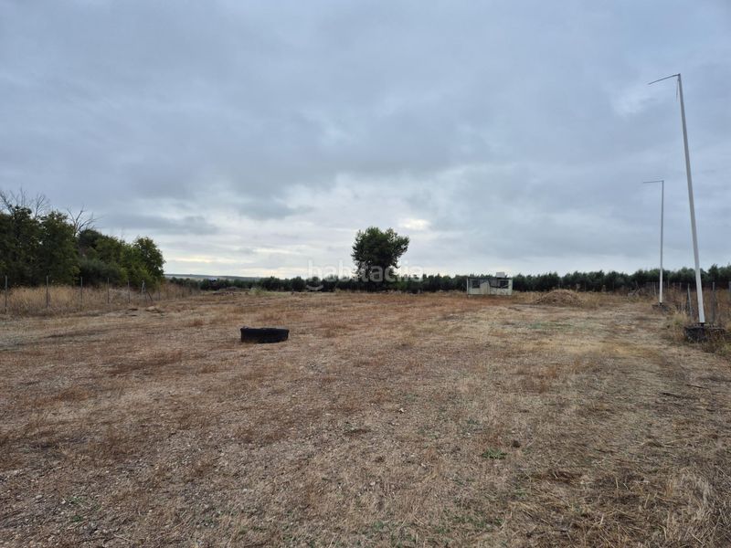 Foto ec86e1e5-e9d5-4ebd-a3cc-d774dac60764. Finca rústica a Carpio (El)