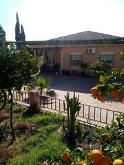 Masia a Alcolea. Magnífica parcela con casa y piscina en las quemadas!