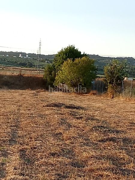 Foto 7227e863-05b9-4c00-8ff7-b010a45f177b. Finca rústica a Almodóvar del Río