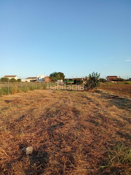 Foto a5b787e6-3ea7-4d12-b55e-e87112410e20. Finca rústica a Almodóvar del Río