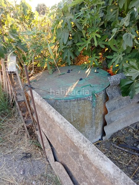 Foto c57a2708-7fd5-4a4c-ae89-2c45b3b18558. Finca rústica a Almodóvar del Río