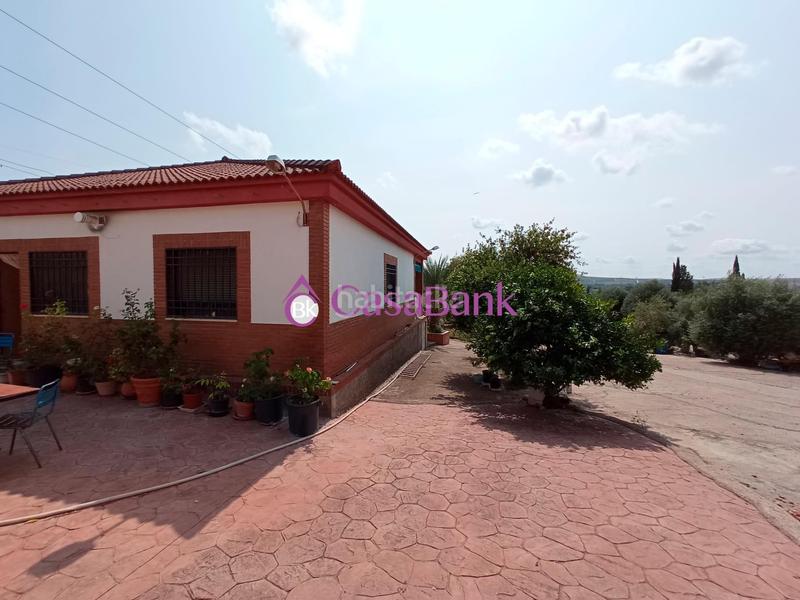 Foto 36a3b90e-234f-4721-941a-49d3e1e433ff. Casa a Alcolea Córdoba