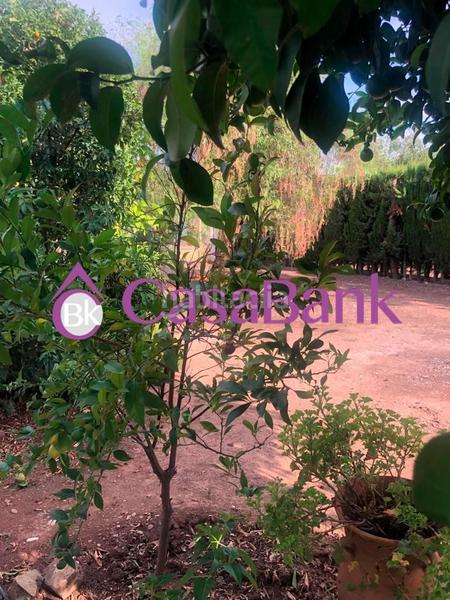 Foto 2e080561-a4a7-4f18-b8da-5f261897797f. Casa con parcheggio in Villarrubia Córdoba