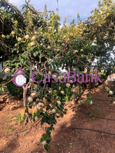 Foto 31872f4d-eaae-4c50-945a-8e4efd840ec6. Casa con parcheggio in Villarrubia Córdoba