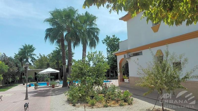 Foto de8e2aed-1f45-489f-8046-8cc41e809f92. Casa amb piscina a Las Vegas - Campoaras Lucena