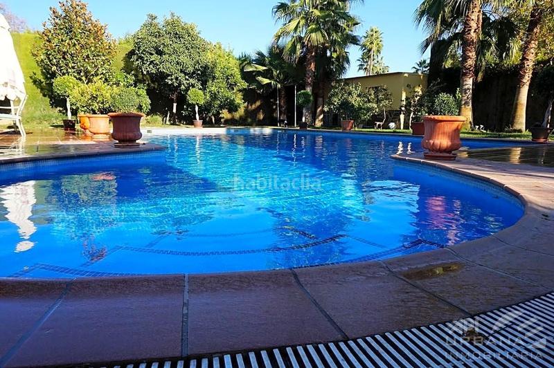 Foto e033e655-b79a-476d-af30-c187eaf319d2. Casa amb piscina a Las Vegas - Campoaras Lucena