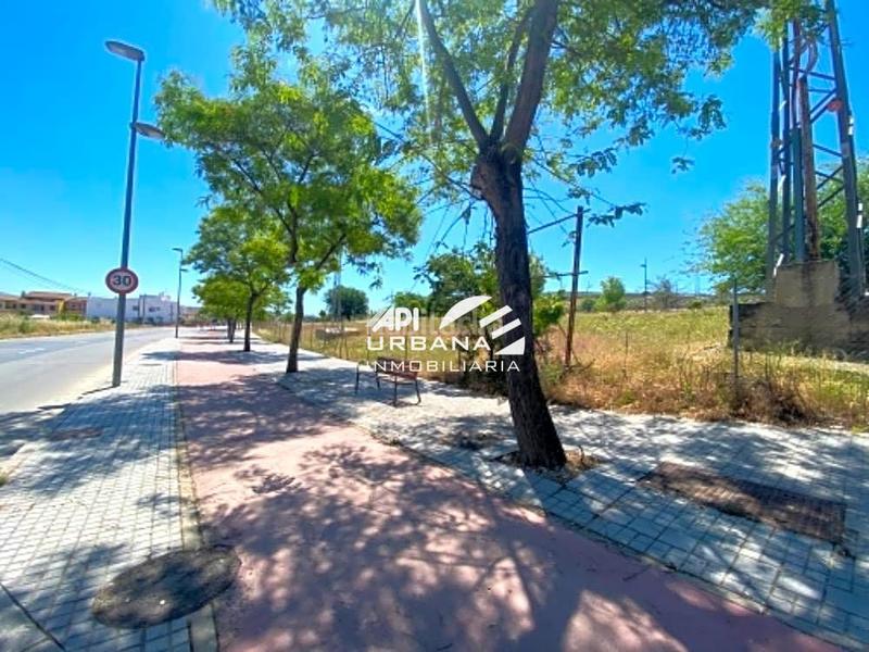 Foto 6b397eb8-94f5-4385-b513-31646b74b9c0. Terreno residencial terreno destinado a uso residencial, directamente edificable para la promoción de viviendas o de naves industriales. situado en un en Lucena
