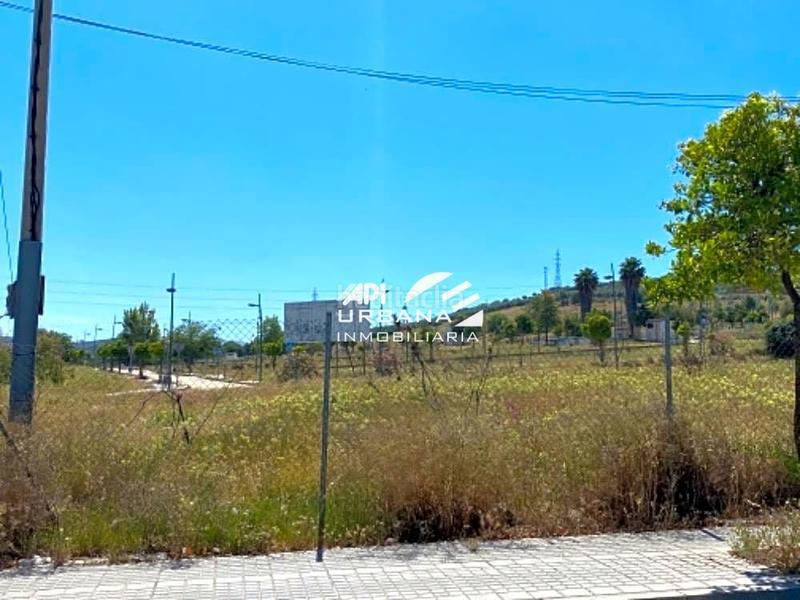 Foto cfd7b604-942c-496c-9847-f255d9fda572. Terreno residencial terreno destinado a uso residencial, directamente edificable para la promoción de viviendas o de naves industriales. situado en un en Lucena