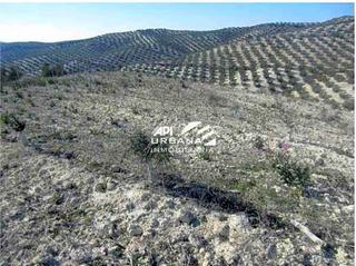 Residential Plot  Partido castillo anzur y barranquillos