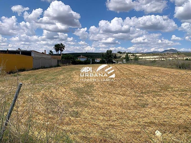 Foto 14809406-1c9c-445f-88ca-b4e8e861c622. Fondo rustico in San Francisco Lucena