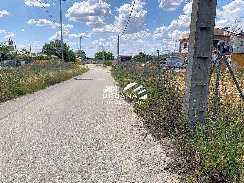 Foto 9cb80428-6167-47e0-91ac-73d1e472bd7c. Finca rústica a San Francisco Lucena