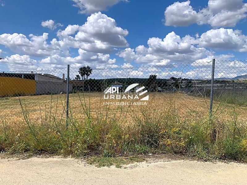 Foto ddae6489-8f5b-42d9-8ec6-1465c2eb0cbf. Finca rústica a San Francisco Lucena