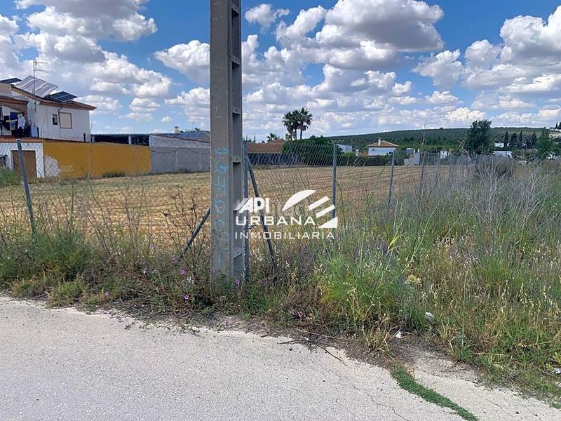 Foto 6687b726-93cf-4f83-b1a3-e5731f3d56ed. Finca rústica en San Francisco Lucena