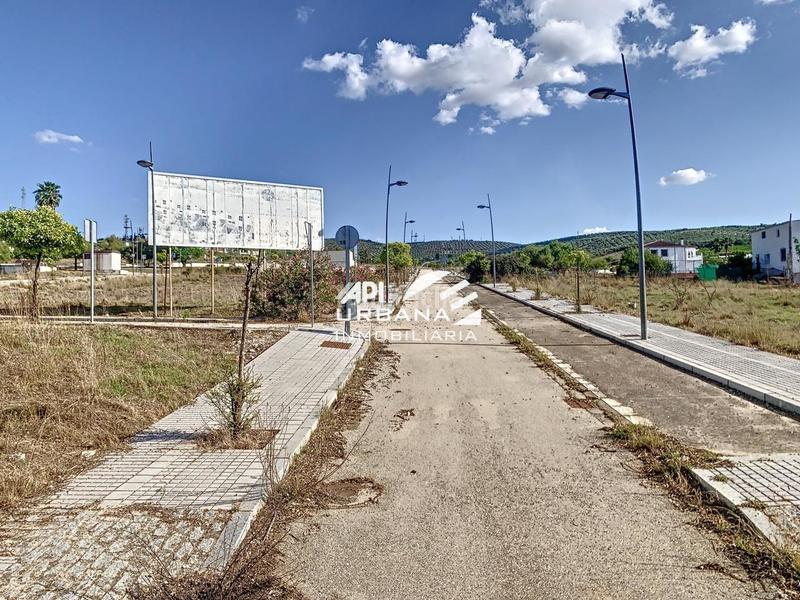 Foto 5f23e332-4879-488c-bd75-0f641b42a189. Terreno residencial magnifico terreno urbano que se encuentra en cm los poleares , 14900, , córdoba. es un terreno que tiene 453 m2 de superfic en Lucena