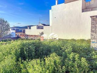 Terreno residencial en Hoya del Molino