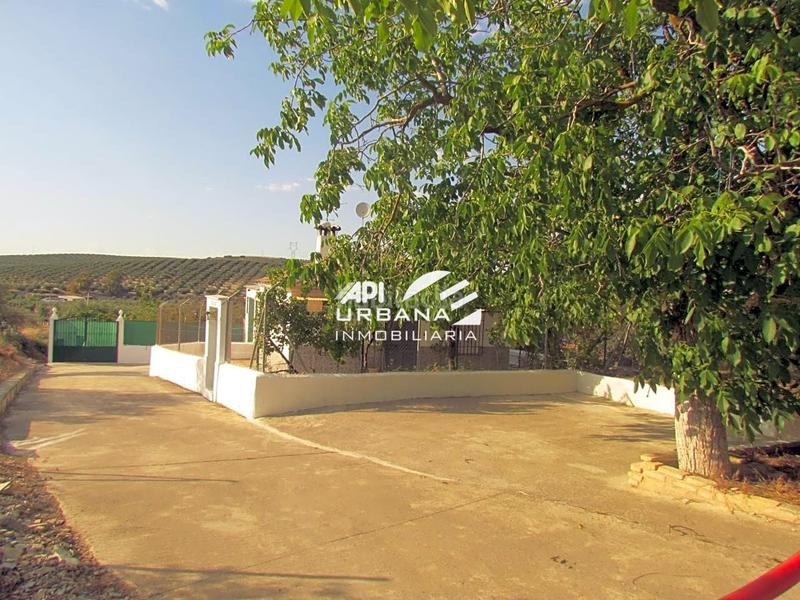 Foto 3a11543a-e8cb-4fe5-b8ee-47ce58252f12. Casa amb piscina a San Francisco Lucena