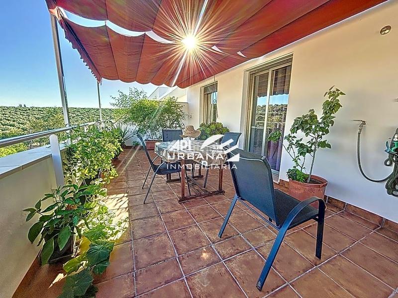 Foto 79ff1fa8-e829-4866-b448-d395bf41ea80. Dachwohnung mit parking pool in El Valle Lucena