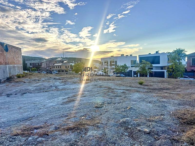 Foto 614832e0-62e5-4172-87da-1e165923afbd. Terrain résidentiel dans El Carmen - La Barrera Lucena