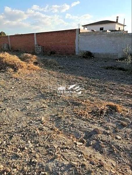 Foto 77b1f4f9-0672-4d4b-b12e-5c0cfdd6acb1. Terreny residencial a Moriles