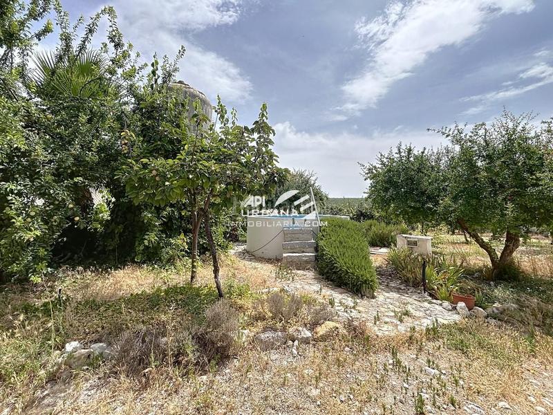 Foto 1aca3dee-ec3a-430c-8181-612b67648e22. Casa amb piscina a Navas del Selpillar Lucena