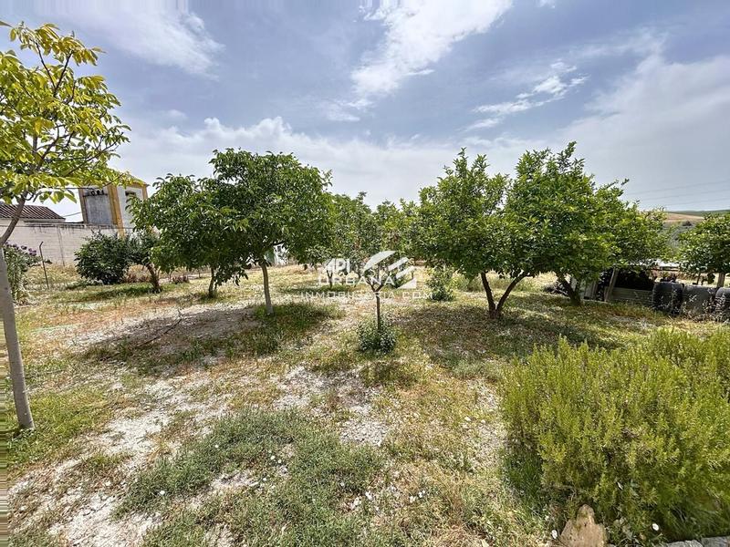 Foto 1ecd7e50-a837-465c-a118-5a76499a87af. Casa amb piscina a Navas del Selpillar Lucena