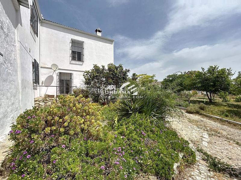 Foto 2b148503-b3bd-4d0a-af79-bd349e5d9473. Casa amb piscina a Navas del Selpillar Lucena