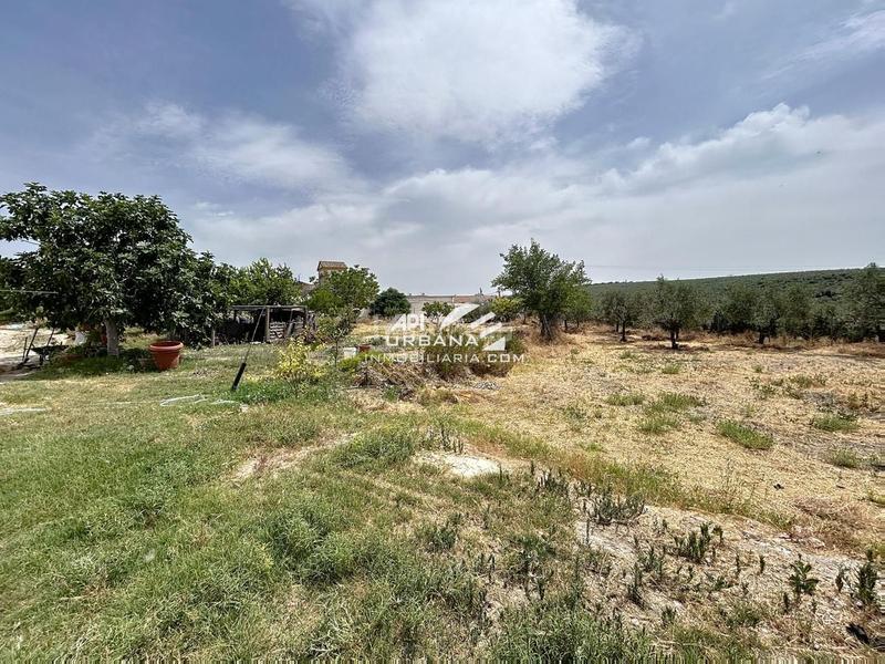 Foto 8c7dd85f-999b-46c5-9f25-de8d5f9744b4. Casa amb piscina a Navas del Selpillar Lucena