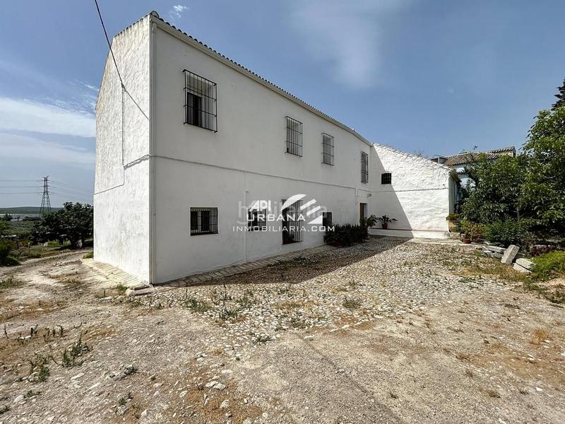 Foto 94945dfc-94aa-4ef9-ae3f-c90e9f1df762. Casa amb piscina a Navas del Selpillar Lucena