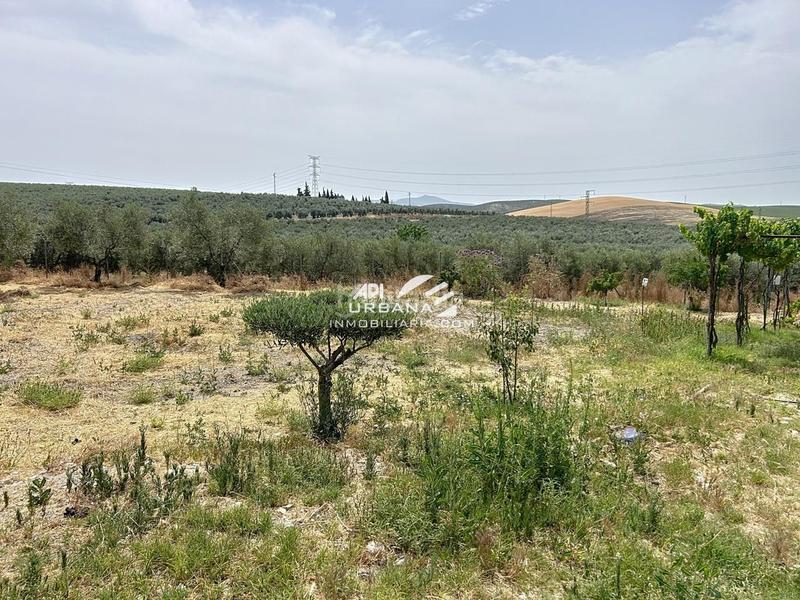 Foto ca21b517-e102-46c2-887d-c0236d578644. Casa amb piscina a Navas del Selpillar Lucena