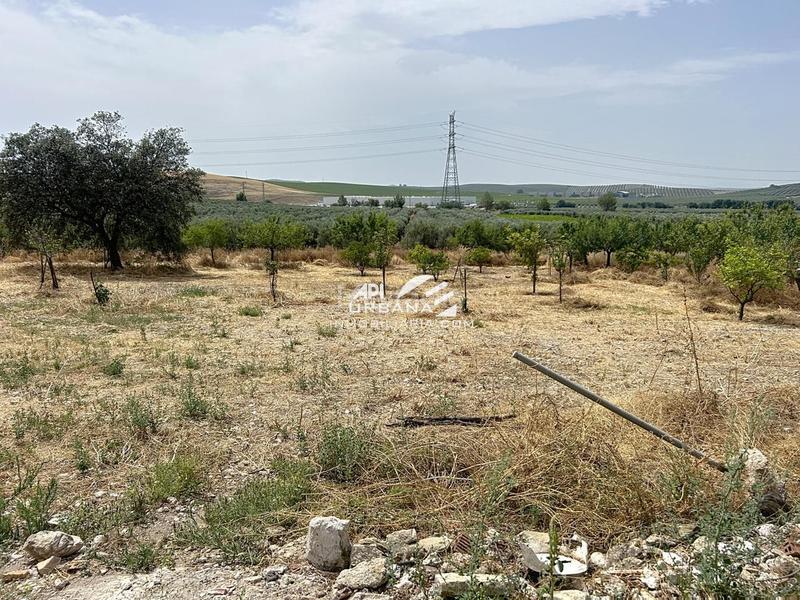 Foto d26fdacc-28ef-4c8a-b9dc-149216bac30f. Casa amb piscina a Navas del Selpillar Lucena