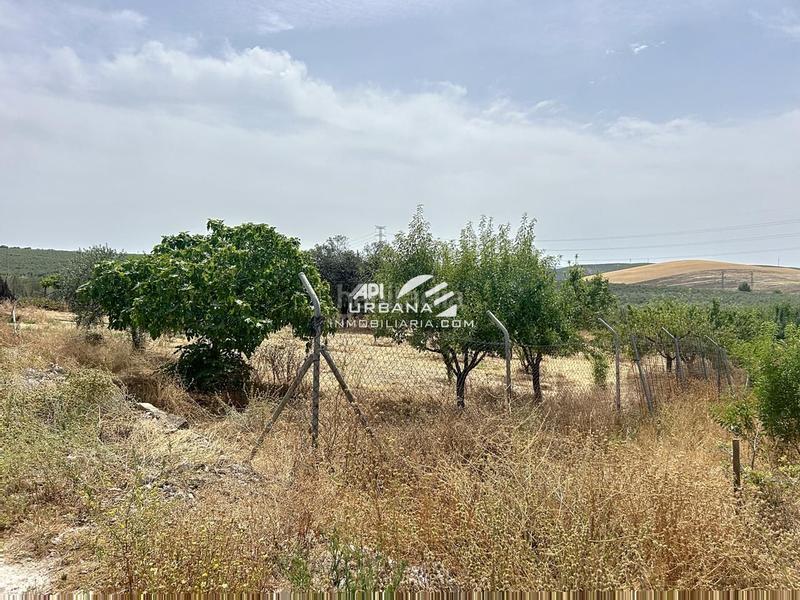 Foto ffc70588-d9c1-4767-b3c3-8a125a737516. Casa amb piscina a Navas del Selpillar Lucena