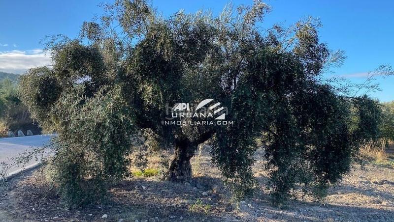 Foto f511da07-b7cb-4c77-90a0-0f97be5ce801. Terrain résidentiel dans San Francisco Lucena