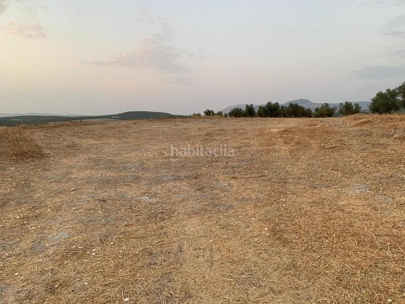 Foto e0ff8386-2be4-4fc3-8325-c0c499376237. Terreno residencial en San Francisco Lucena