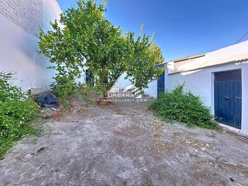 Foto 27de61a0-c1e5-482d-be97-8dcdd4f630f8. Maison dans La Calzada Lucena