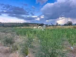 Wohngrundstück  Huertas de monturque