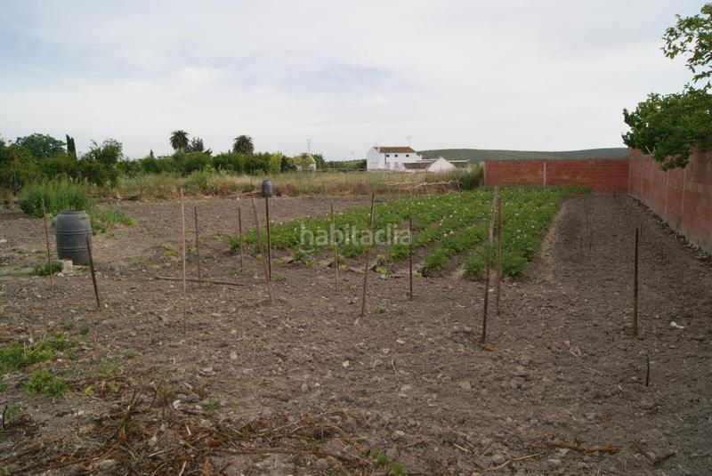 Foto cc1e673f-9f23-489b-92d9-10729a15b9dd. House with pool in Navas del Selpillar Lucena