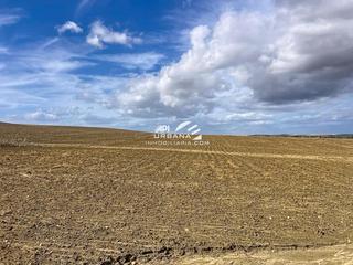 Rural plot  Marchena