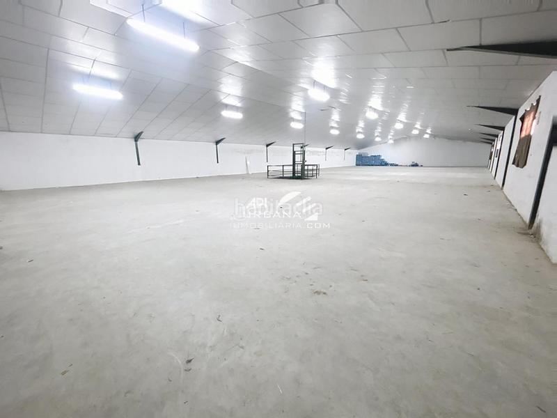 Foto e5680fbb-406c-48bb-9348-aef26cf92ecf. Miete fabrikhalle in San Francisco Lucena