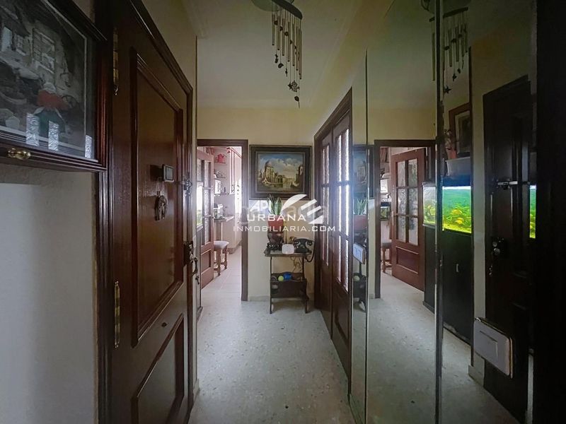 Foto 6ba25c9c-3cc6-4e81-829e-6956939290a1. Pis a San Francisco Lucena