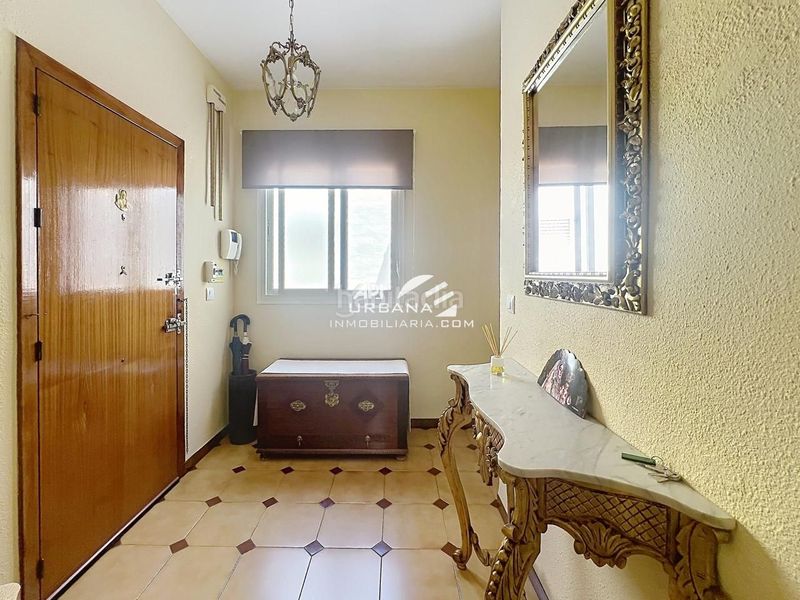 Foto f3b6fc29-2478-4aca-be67-61bafcf9314c. Pis a Centro Lucena